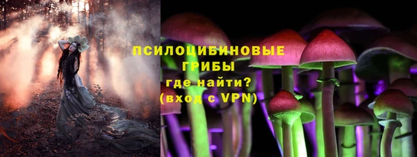 прущая мука Алзамай
