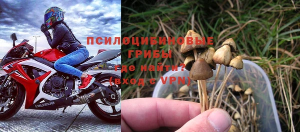 крисы Пересвет