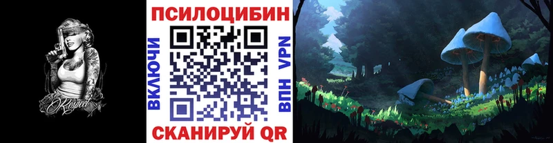 Галлюциногенные грибы мицелий  купить  сайты  Тула 